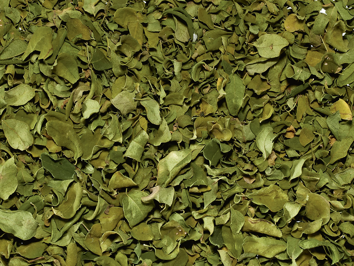 Moringa Listovi BIO 1 Moringa Listovi BIO