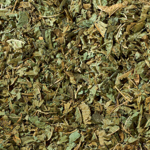Verbena