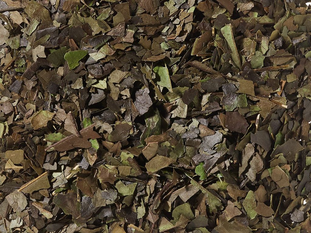 guayusa bio