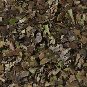 guayusa bio