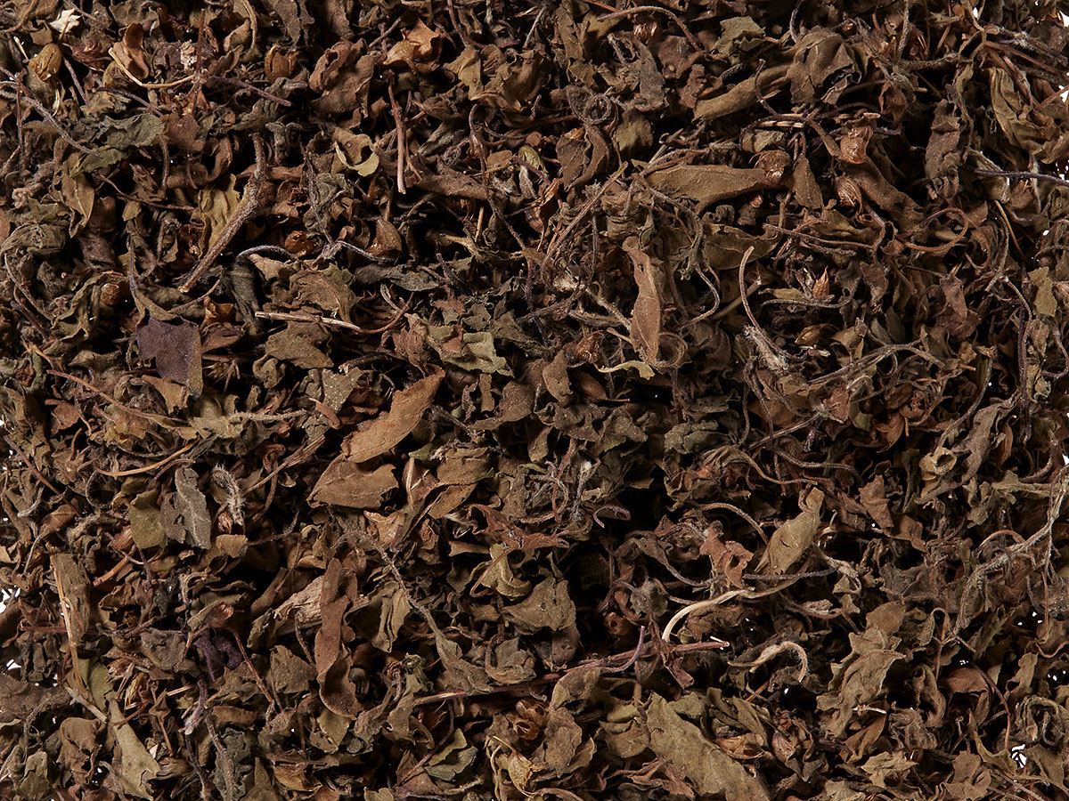 21640 Tulsi BIO tulsi bio